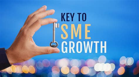 Innovation and Growth Strategies for SME Business